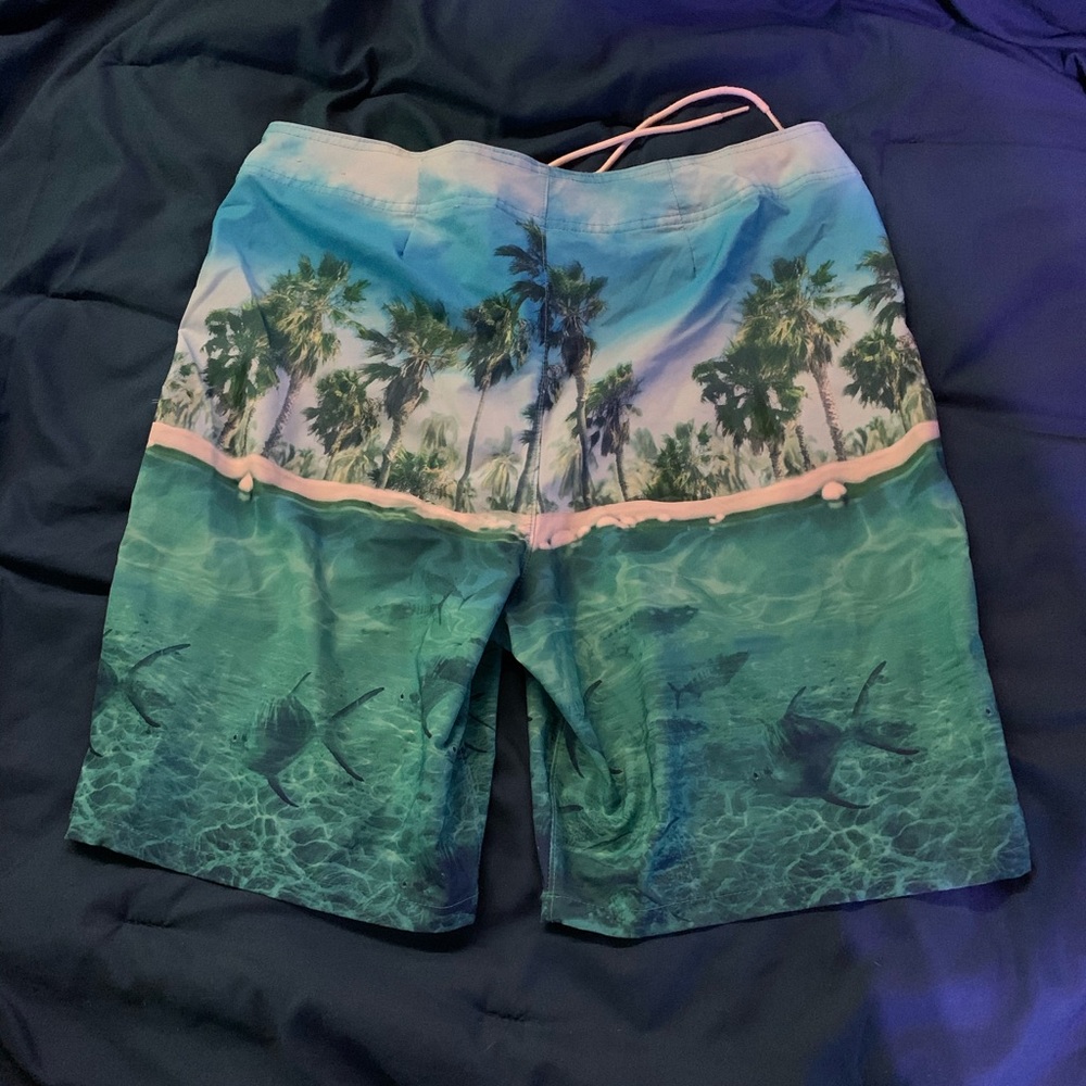 Hollister swim trunks - Picture 2 of 3